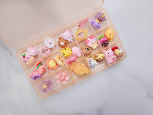 Shoe Charm Organizer Box